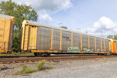 TTGX 982928