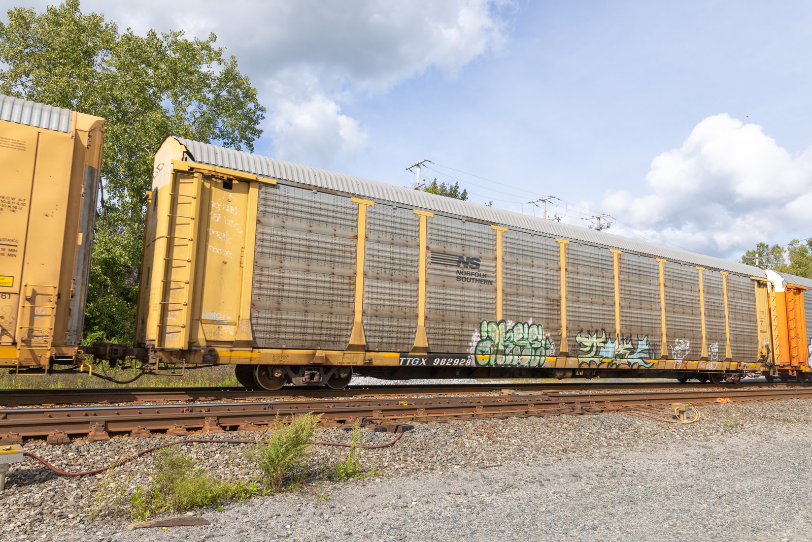 TTGX 982928