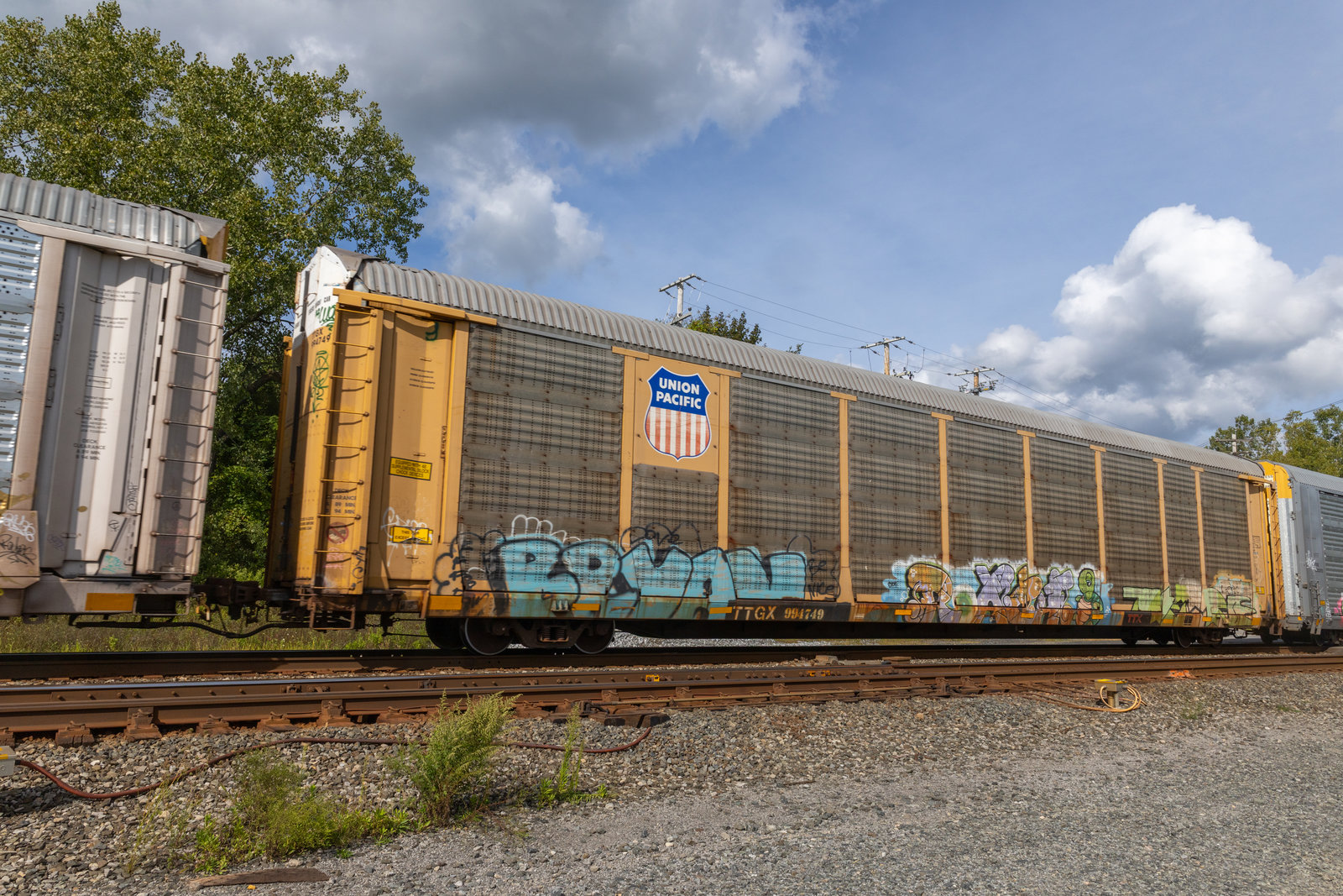TTGX 994749