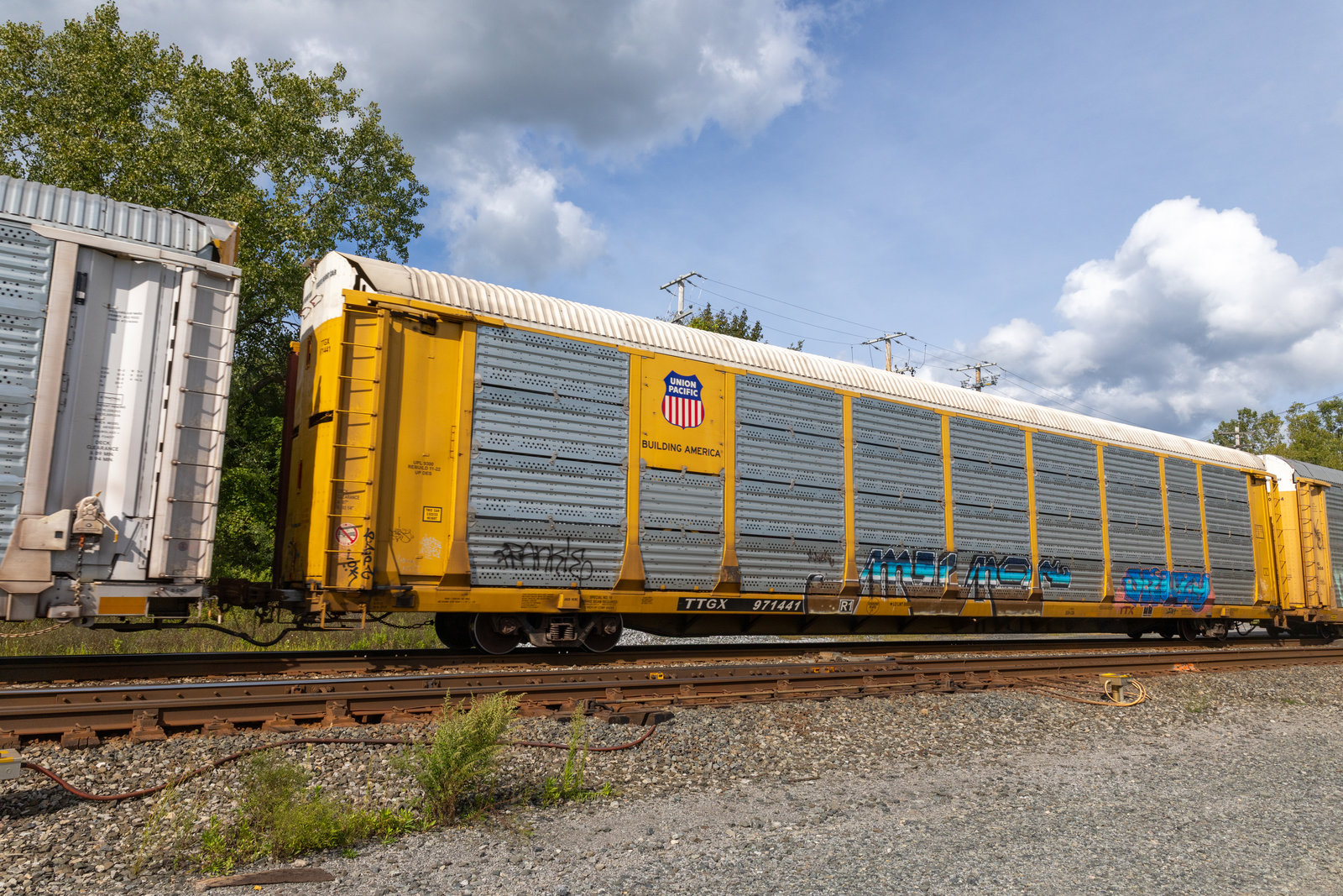 TTGX 971441