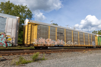 TTGX 985262