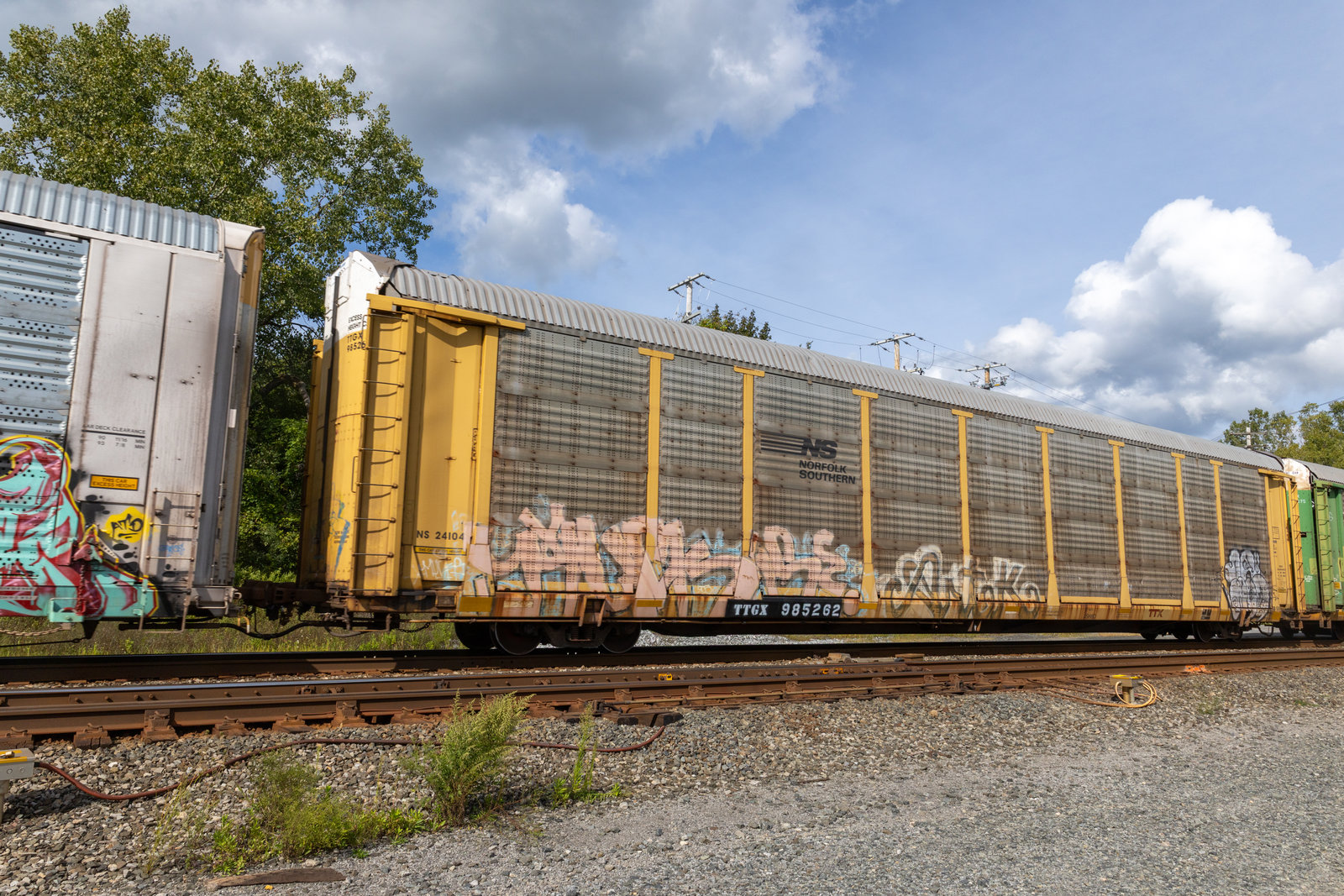 TTGX 985262