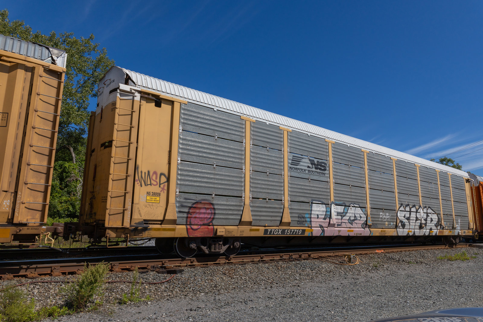 TTGX 157719