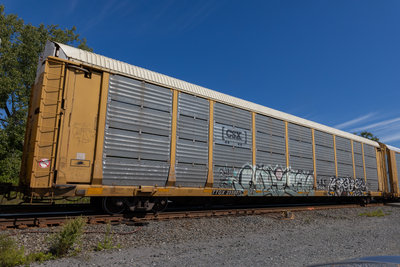 TTGX 255807