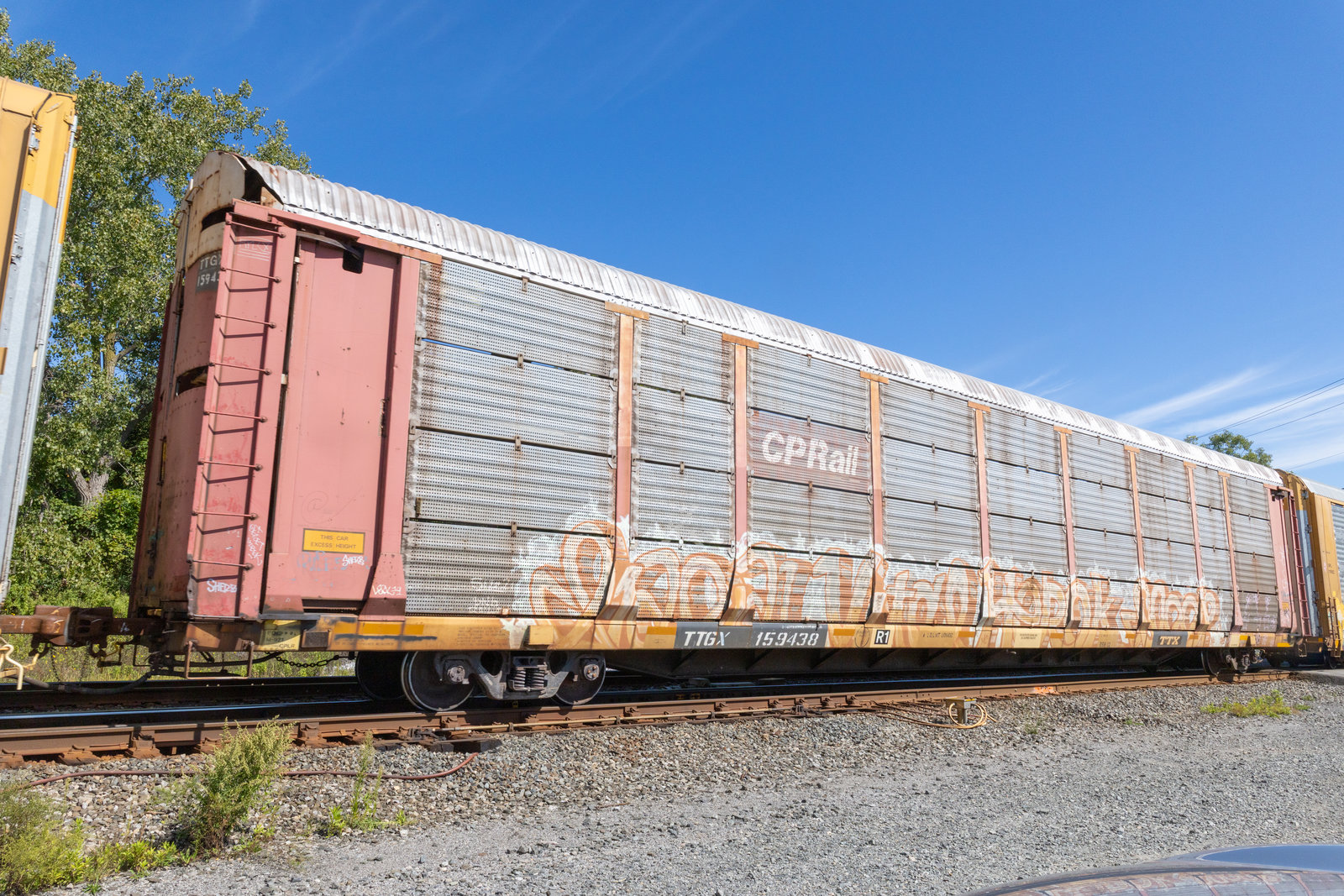TTGX 159438