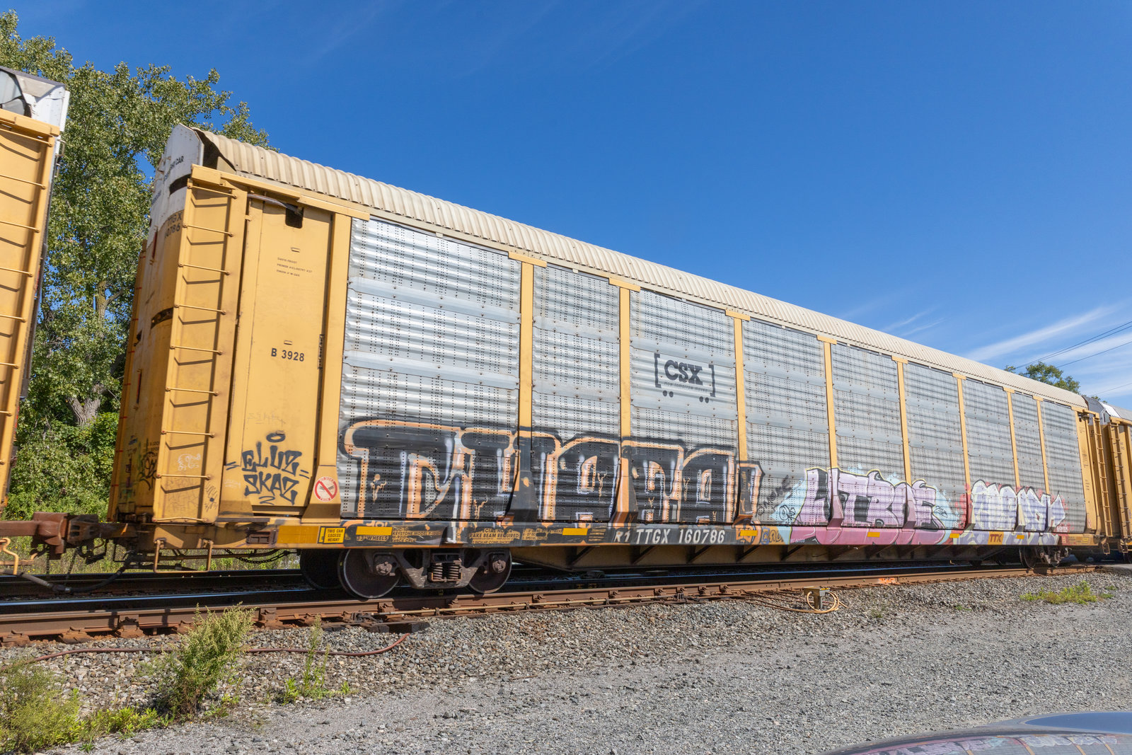 TTGX 160876