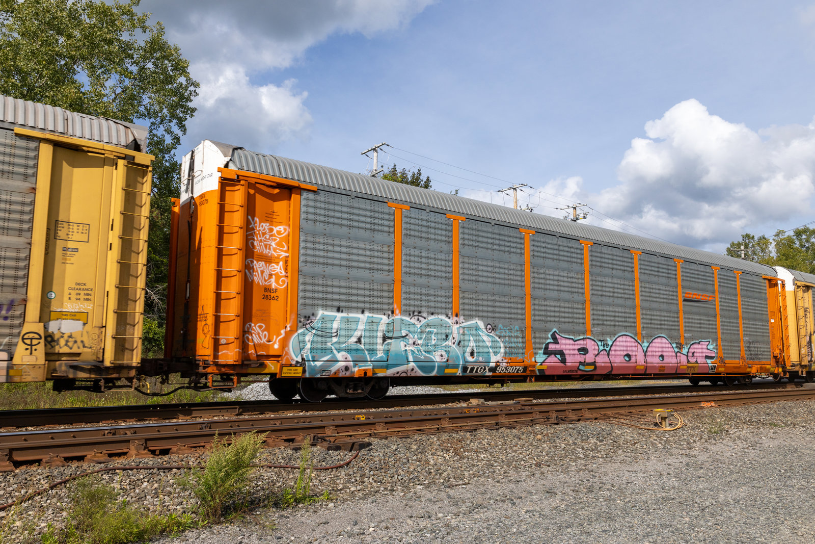 TTGX 953075