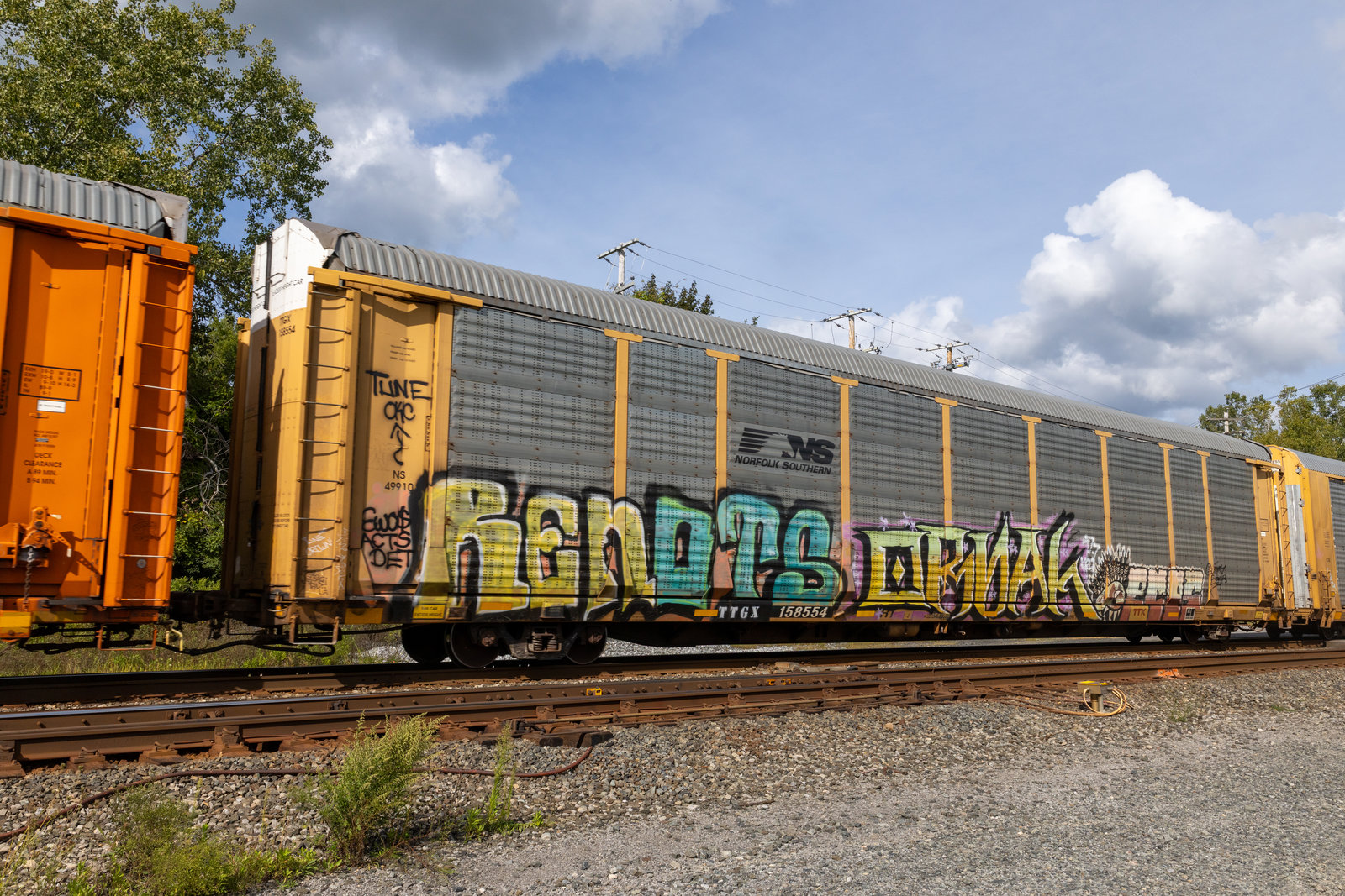 TTGX 158554