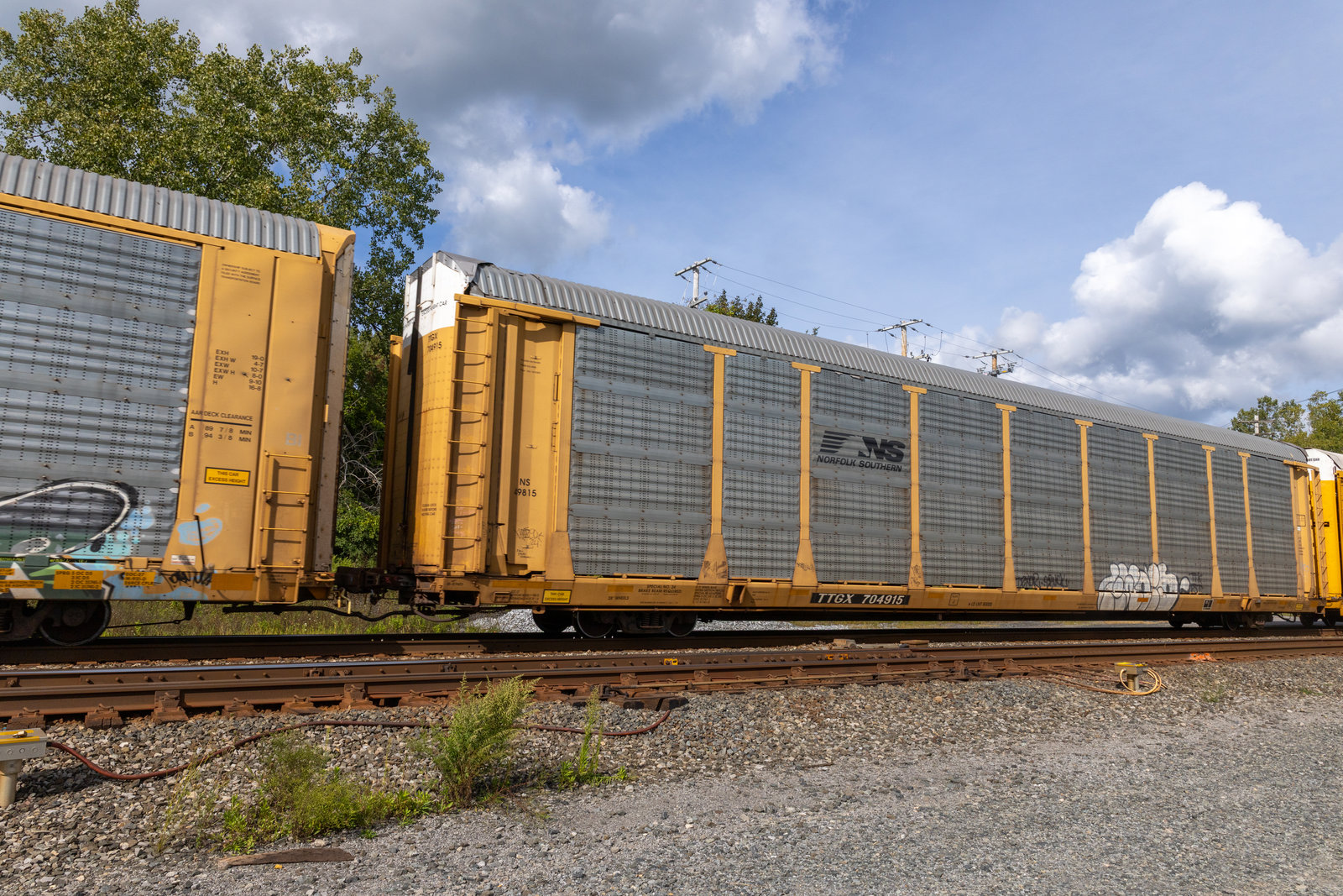 TTGX 704915
