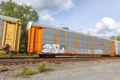 TTGX 952933