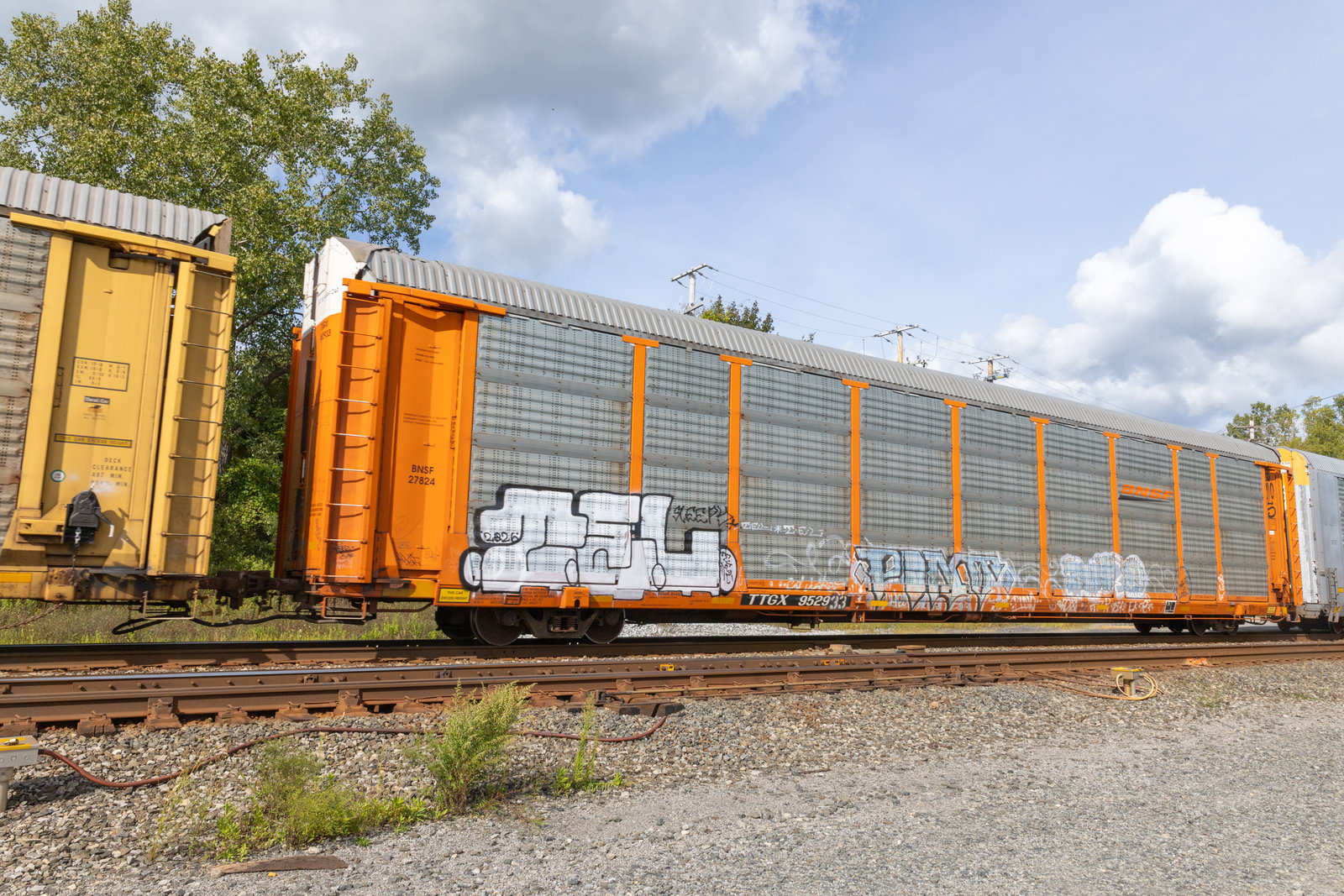 TTGX 952933