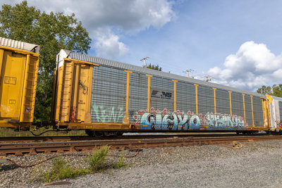 TTGX 707154