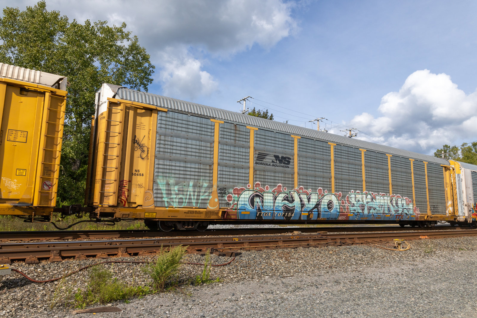 TTGX 707154