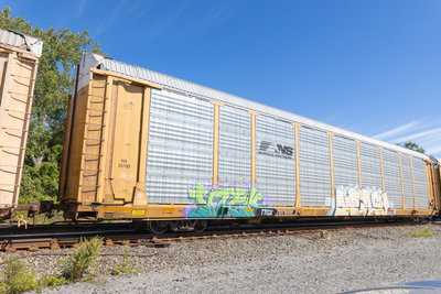 TTGX 707609