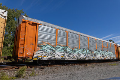 TTGX 953115