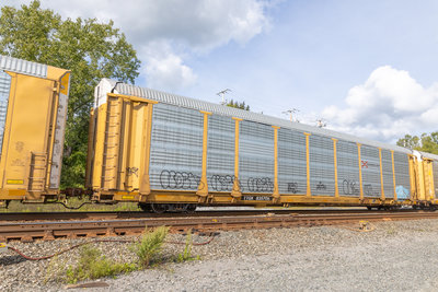 TTGX 835706