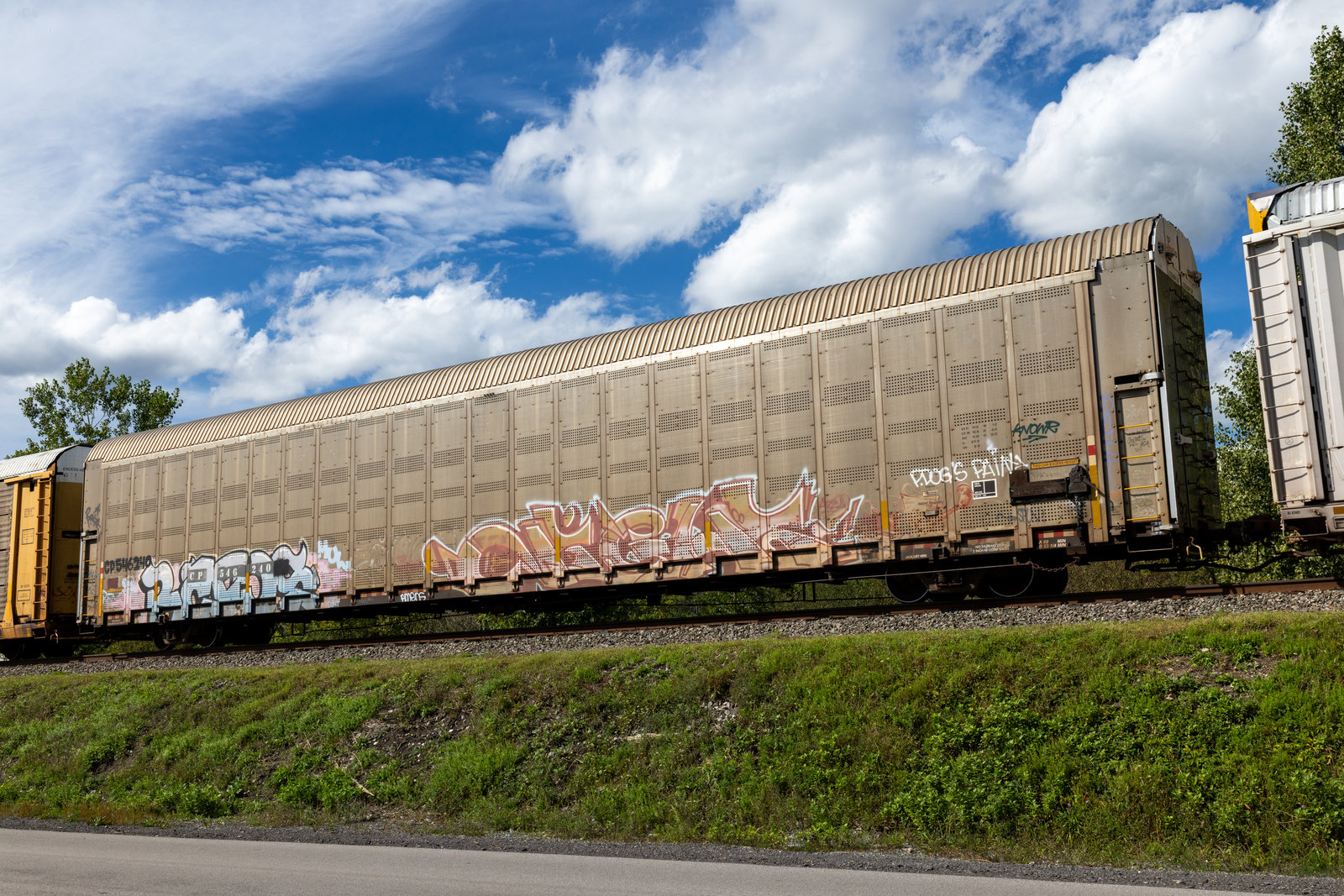 CP 546240