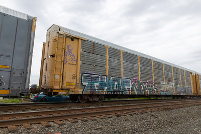 CPAA 543079