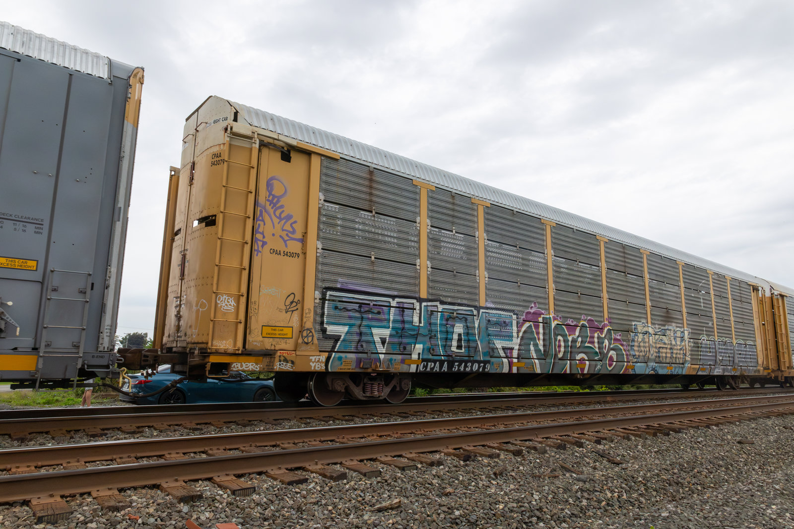 CPAA 543079