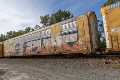 CTTX 692370