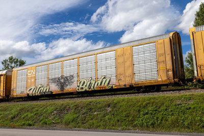 CTTX 694227