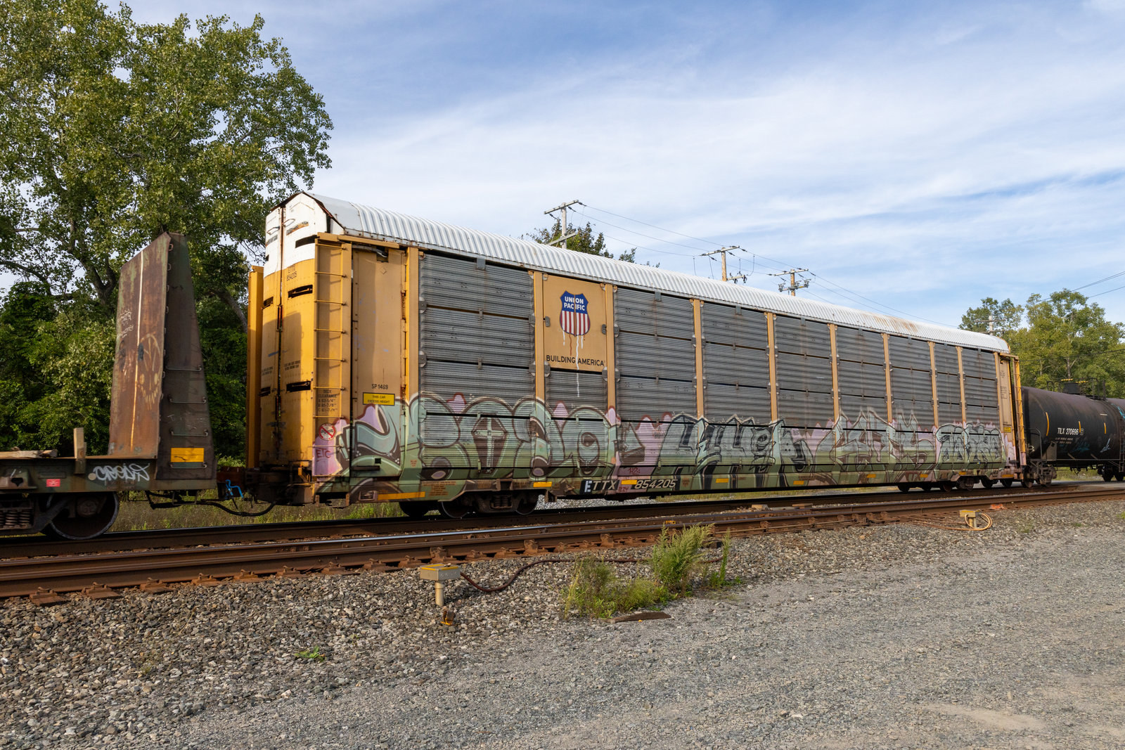 ETTX 854205