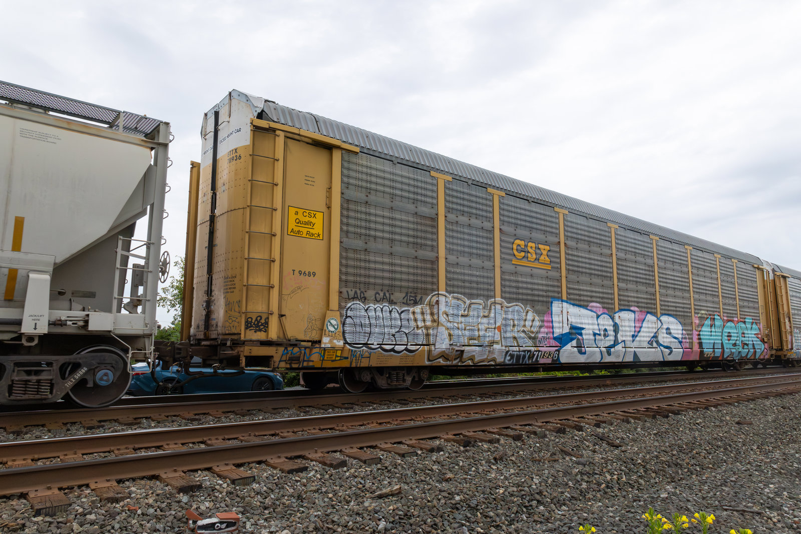 ETTX 711936
