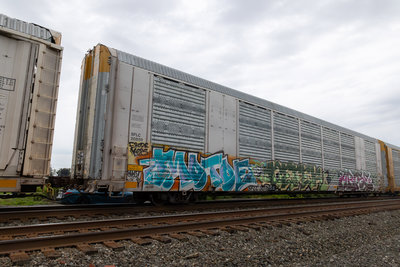 SFLC 307659