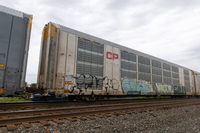 SOO 519063