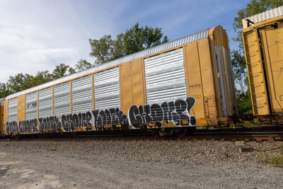 TTGX 823945