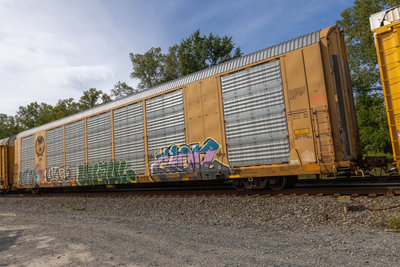TTGX 697933