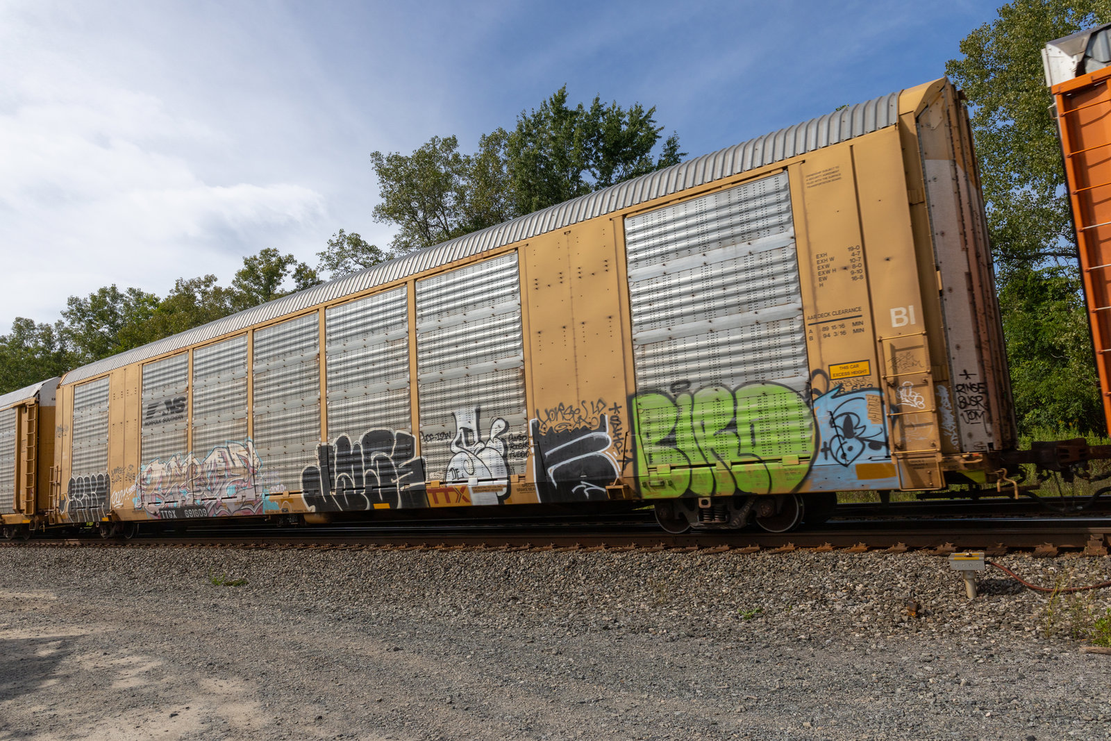 TTGX 691609