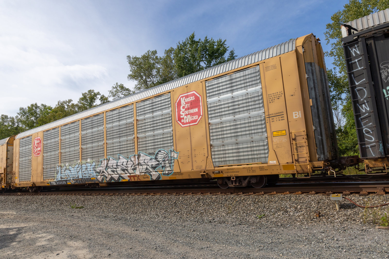 TTGX 695686