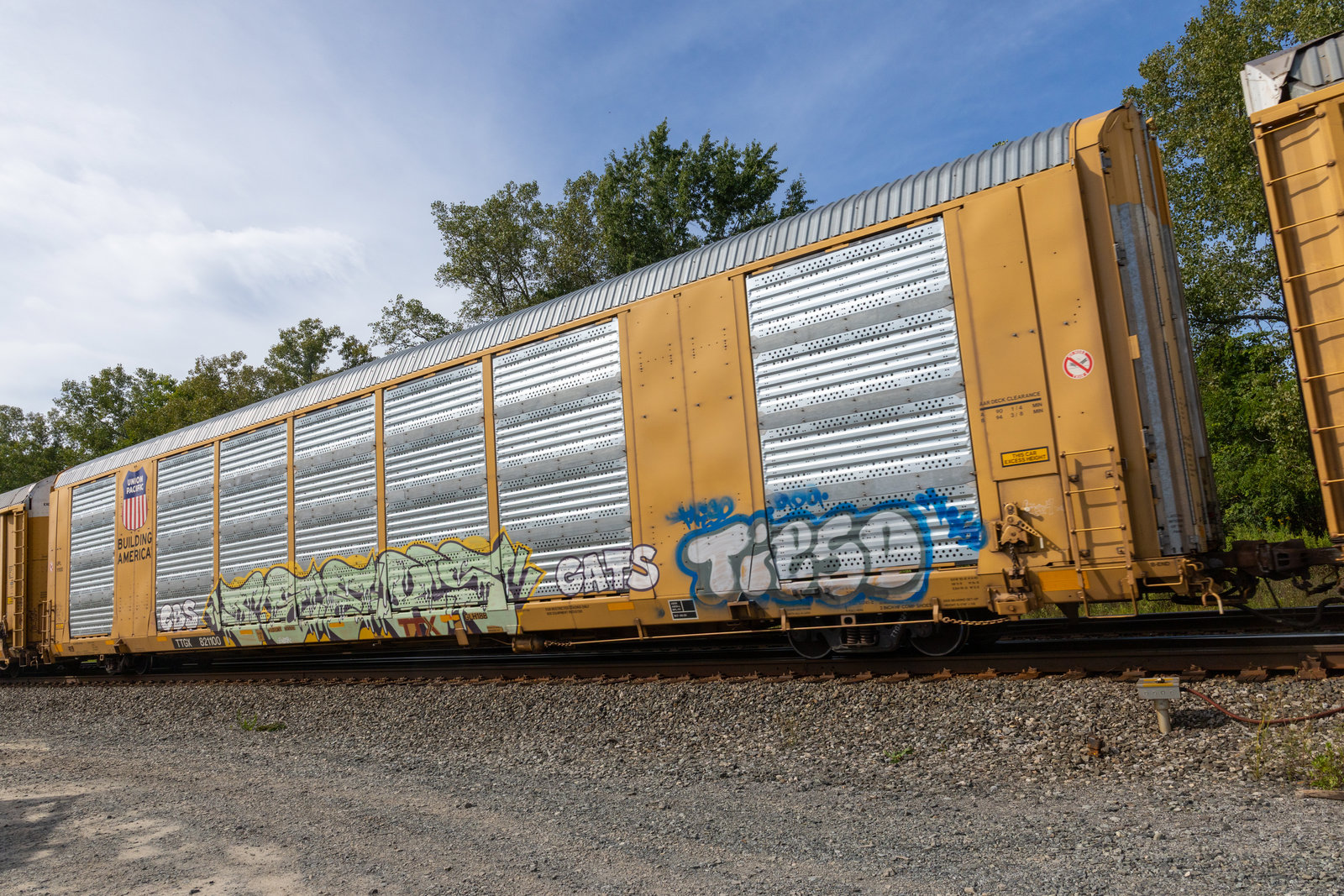TTGX 821100