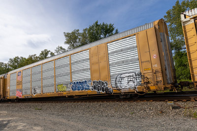 TTGX 822094