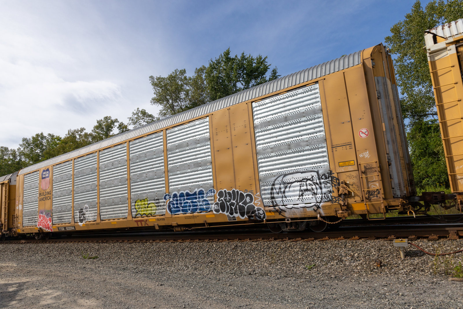 TTGX 822094