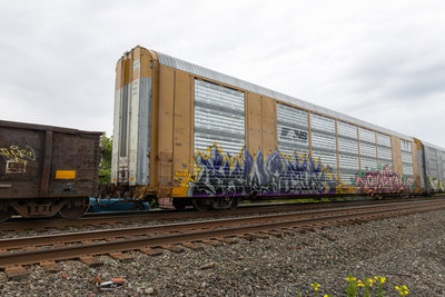 TTGX 823878