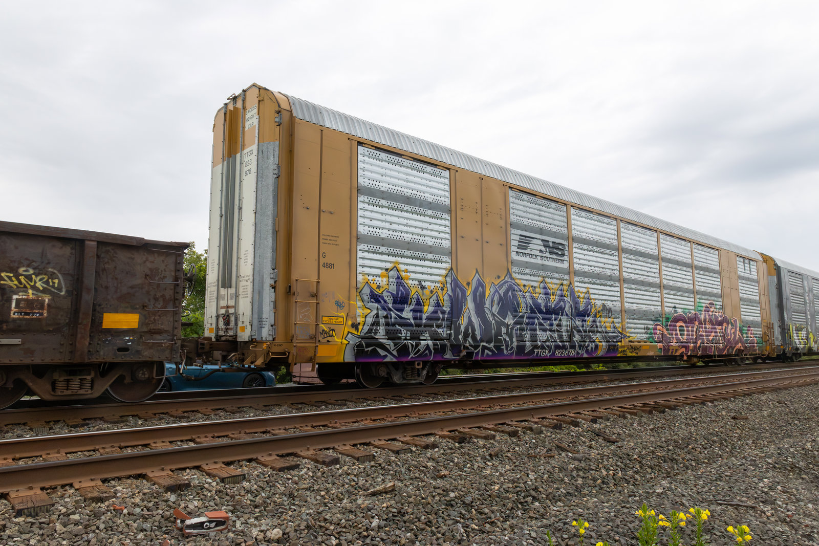 TTGX 823878