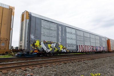 TTGX 825043