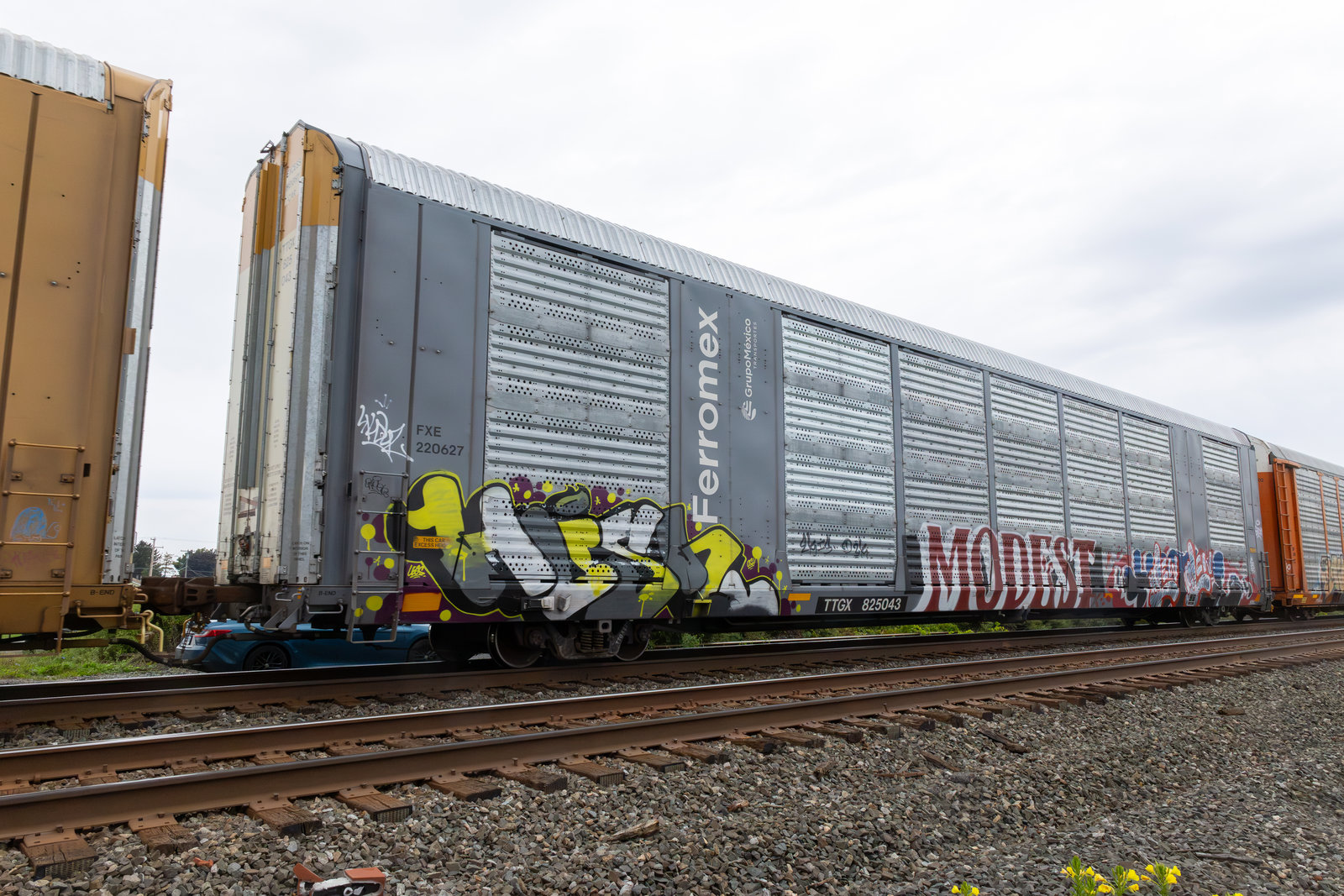 TTGX 825043
