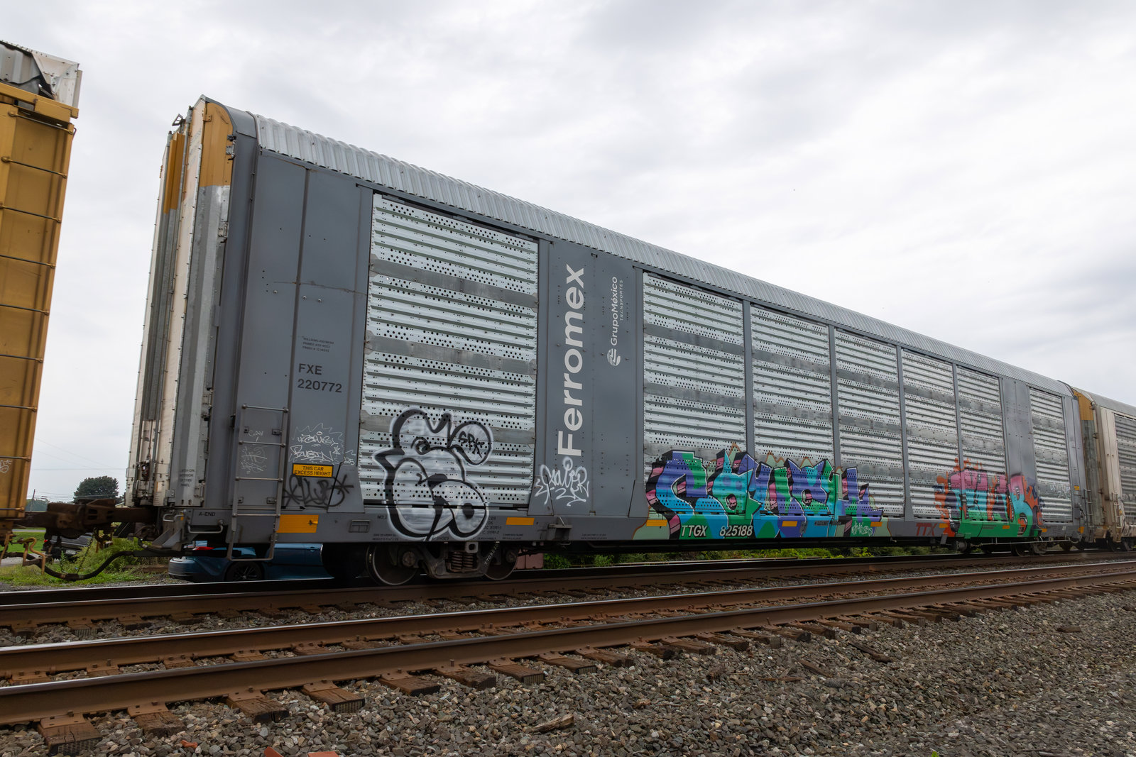 TTGX 825188