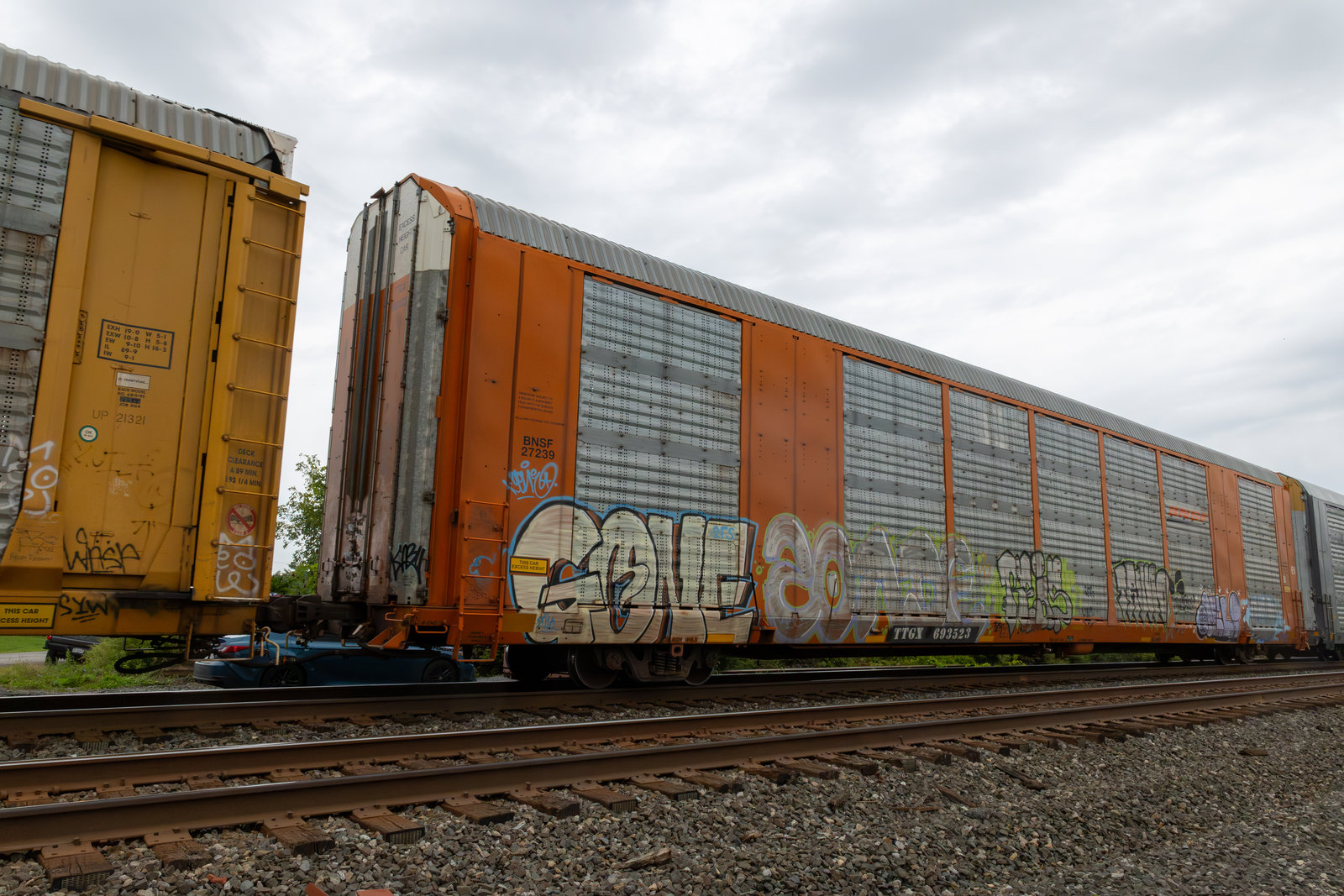 TTGX 693523