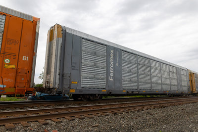 TTGX 825168