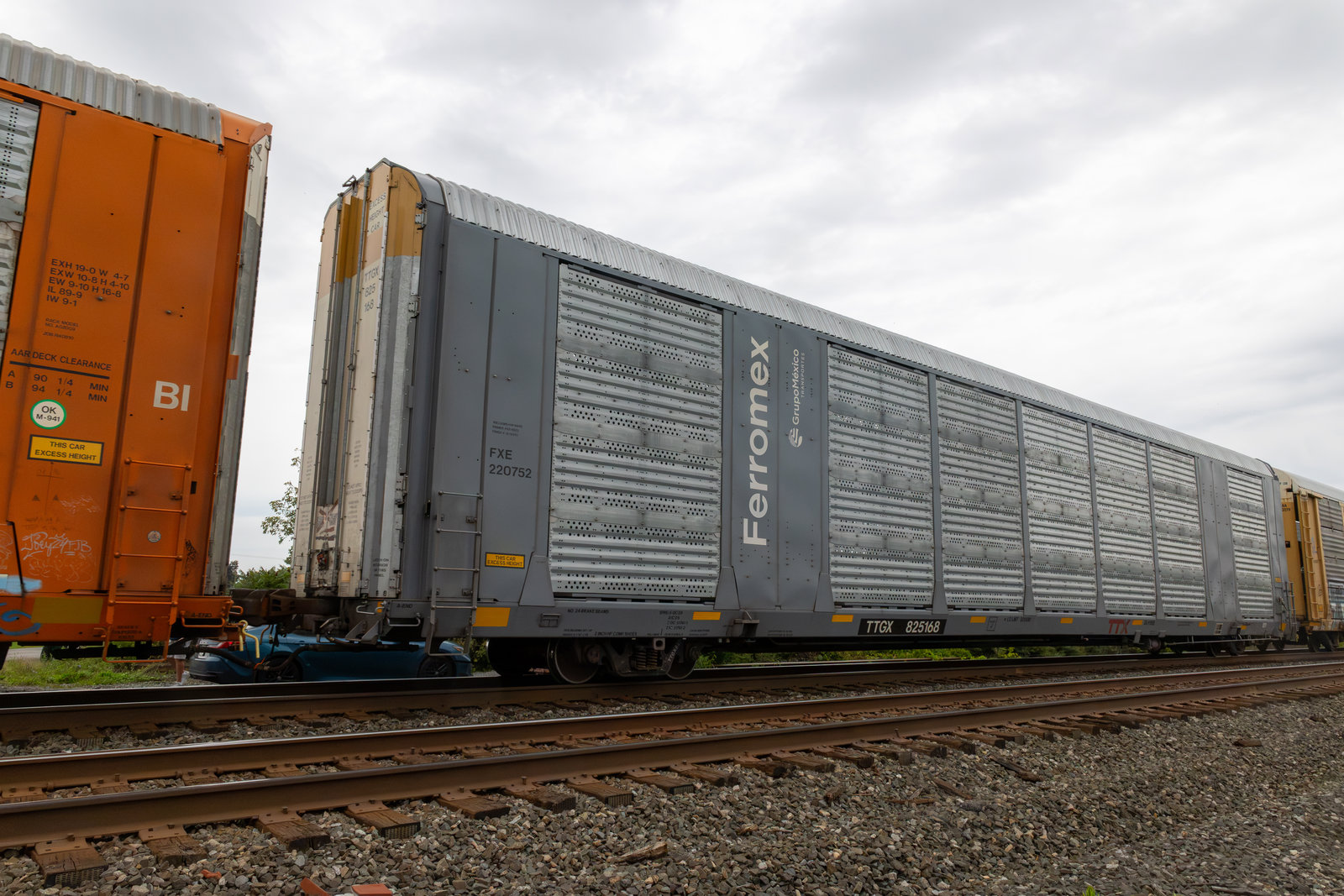 TTGX 825168