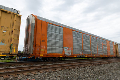 TTGX 694900