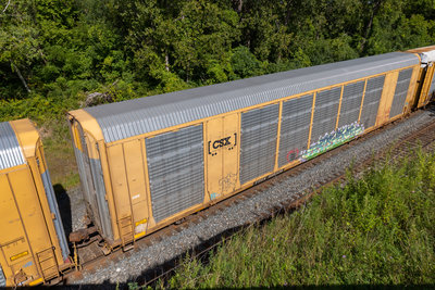 TTGX 695426