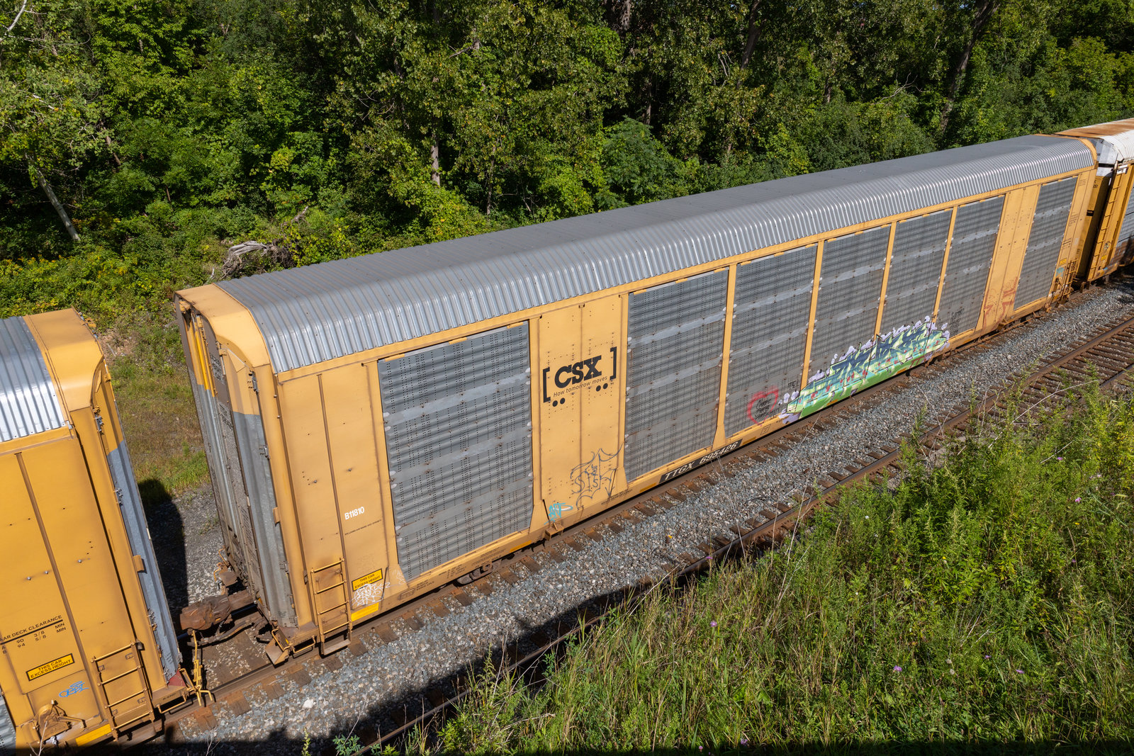 TTGX 695426
