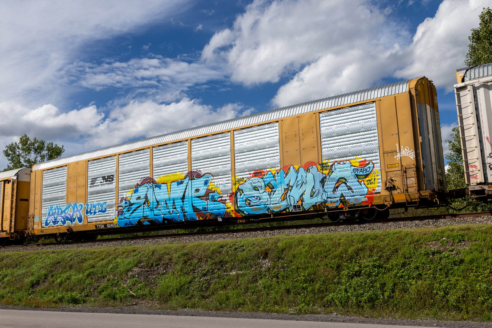 TTGX 824053