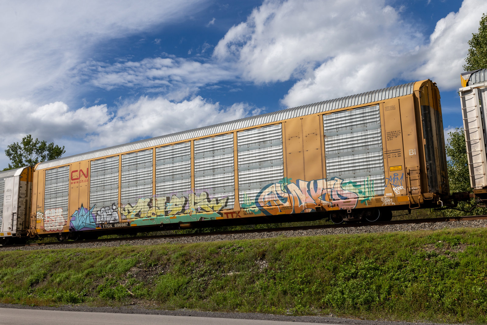 TTGX 696987