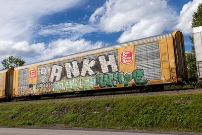 TTGX 695308